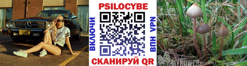 Галлюциногенные грибы Cubensis  где найти   Почеп 